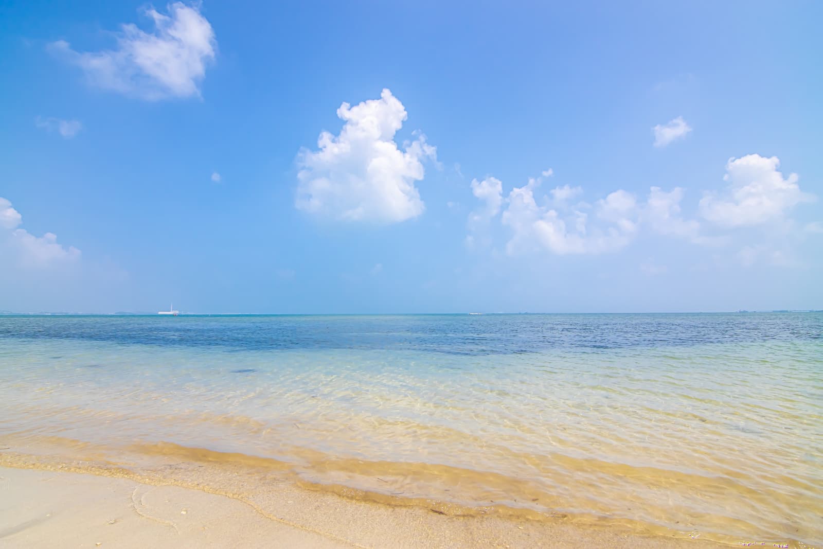 株式会社 海洋散骨OKINAWAイメージ画像